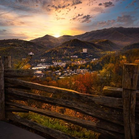 Papa Bear, Hot Tub, Wifi, 1089 Free Tickets Each Paid Day, Dollywood And More เซอเวียร์วีล ภายนอก รูปภาพ
