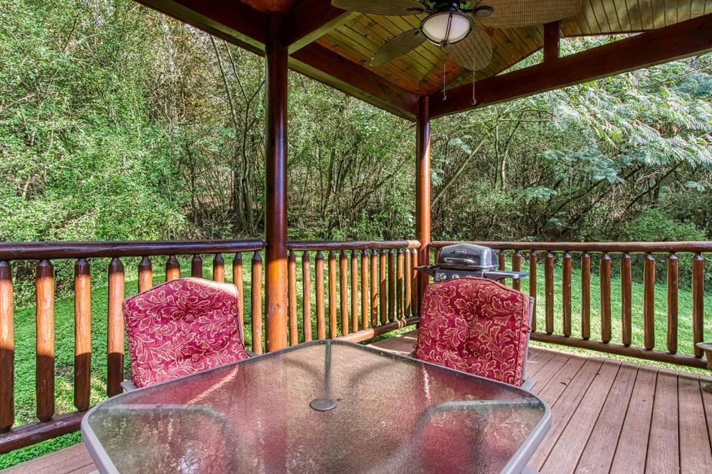 Papa Bear, Hot Tub, Wifi, 1089 Free Tickets Each Paid Day, Dollywood And More เซอเวียร์วีล ภายนอก รูปภาพ
